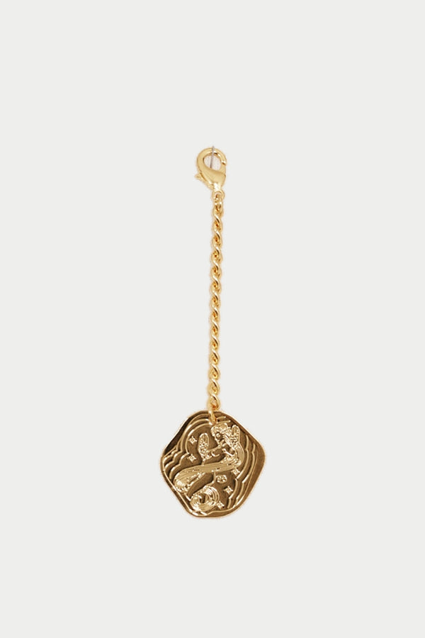 Zodiac Sign Charm